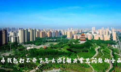 比特币钱包打不开了怎么办？解决常见问题的全面指南