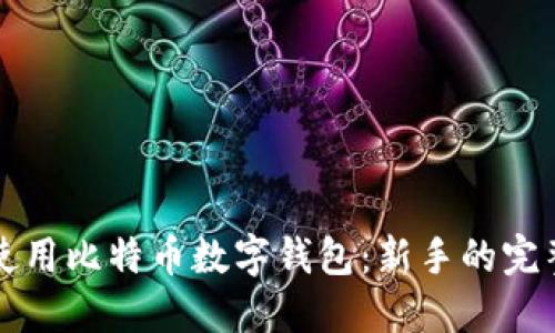 如何使用比特币数字钱包：新手的完整指南