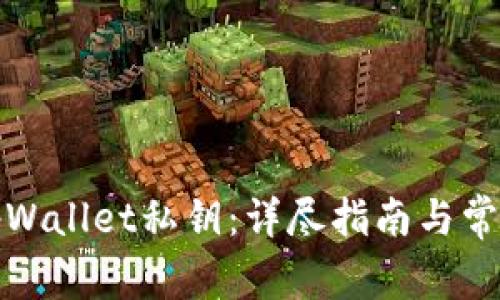 如何找回tpWallet私钥：详尽指南与常见问题解答