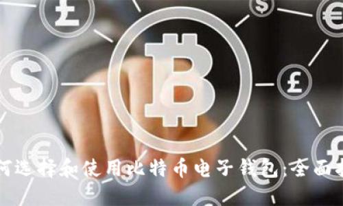 如何选择和使用比特币电子钱包：全面指南