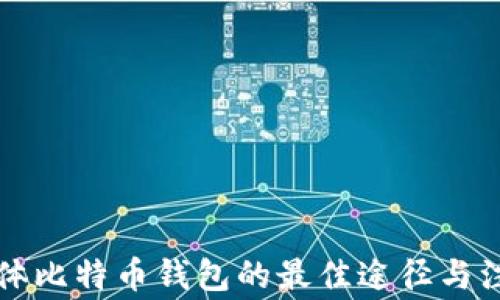 
购买实体比特币钱包的最佳途径与注意事项