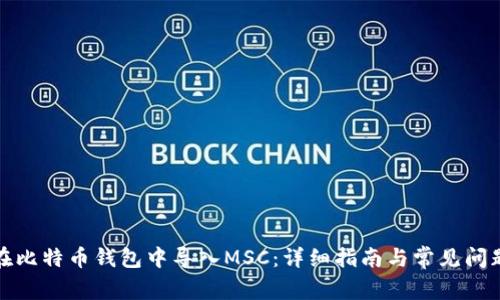 如何在比特币钱包中导入MSC：详细指南与常见问题解答