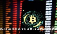 tpWallet私钥忘记了怎么办？全面指南及解决方案