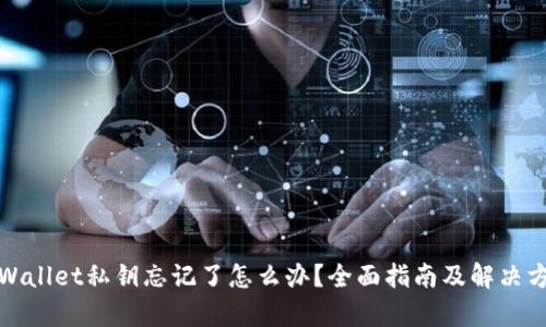 tpWallet私钥忘记了怎么办？全面指南及解决方案