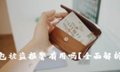: 虚拟币钱包被盗报警有用吗？全面解析与应对策