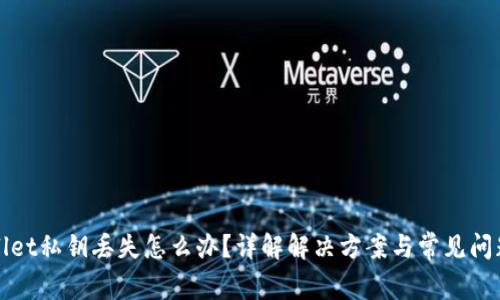 tpWallet私钥丢失怎么办？详解解决方案与常见问题解答