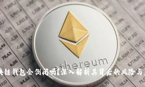 区块链钱包会倒闭吗？深入解析其背后的风险与未来