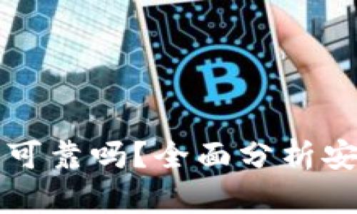 tpWallet交易安全吗可靠吗？全面分析安全性及风险防范策略