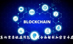 虚拟币真的需要放在钱包里吗？全面解析加密货