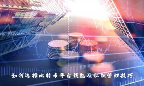 如何选择比特币平台钱包及私钥管理技巧