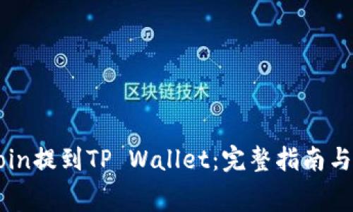 如何将Dogecoin提到TP Wallet：完整指南与常见问题解答