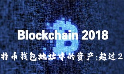 如何有效管理比特币钱包地址中的资产：超过200币的综合指南