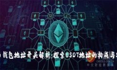 泰达币钱包地址开头解析：探索USDT地址的构成与