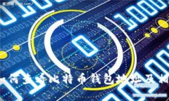 详细解读：如何查看比特币钱包地址及相关问题