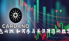 区块链钱包内测：如何参与并保障您的数字资产