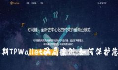 深入解析近期TPWallet骗局案例：如何保护您的数字