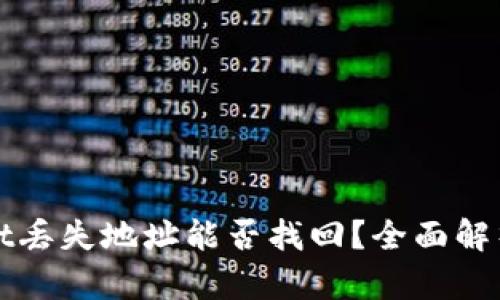 tpWallet丢失地址能否找回？全面解析与解答