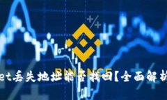 tpWallet丢失地址能否找回？全面解析与解答