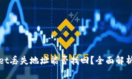 tpWallet丢失地址能否找回？全面解析与解答