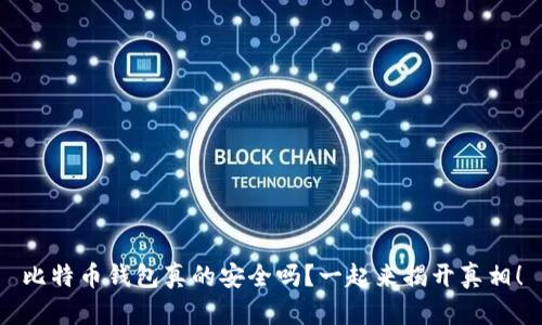 比特币钱包真的安全吗？一起来揭开真相！