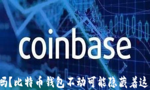 
你知道吗？比特币钱包不动可能隐藏着这些问题！