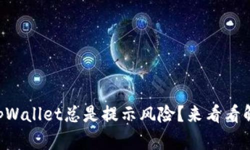 为何你的tpWallet总是提示风险？来看看解决方法吧！