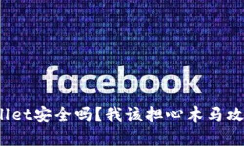 tpWallet安全吗？我该担心木马攻击吗？