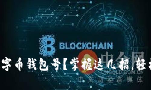 如何有效查询数字币钱包号？掌握这几招，轻松找到你的资产！