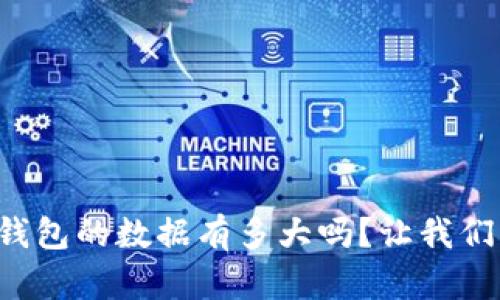 想知道比特币钱包的数据有多大吗？让我们深入探讨一下！