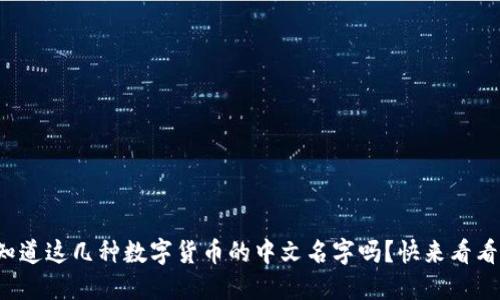 你知道这几种数字货币的中文名字吗？快来看看吧！