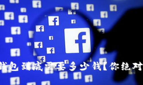 开发加密货币钱包到底需要多少钱？你绝对想知道的真相！