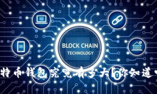 比特币钱包究竟有多大？你知道吗？