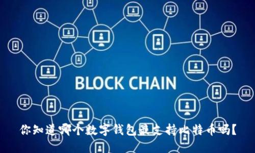 你知道哪个数字钱包最支持比特币吗？