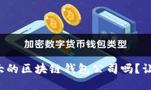你知道全球最大的区块链钱包公司吗？让我们一探究竟！