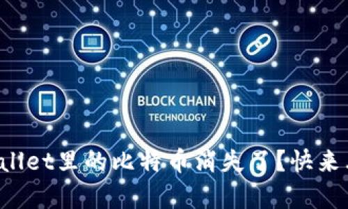 你有没有遇到过tpWallet里的比特币消失了？快来看看可能是什么原因！