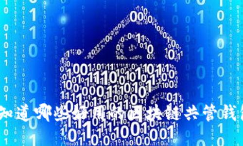 : 你知道哪些好用的区块链共管钱包吗？