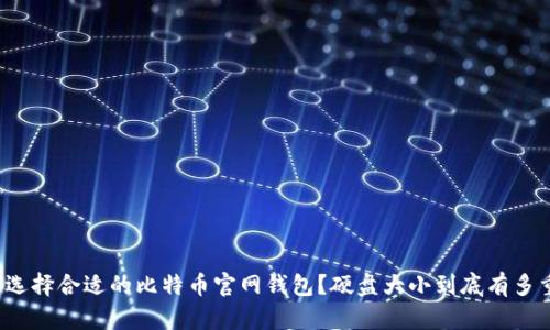 如何选择合适的比特币官网钱包？硬盘大小到底有多重要？