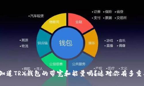 你知道TRX钱包的带宽和能量吗？这对你有多重要？