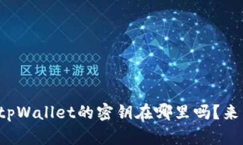 你知道tpWallet的密钥在哪里吗？来看看吧！