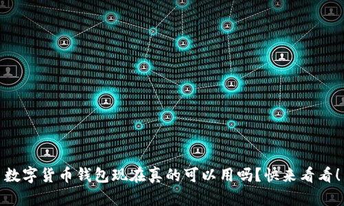 数字货币钱包现在真的可以用吗？快来看看！