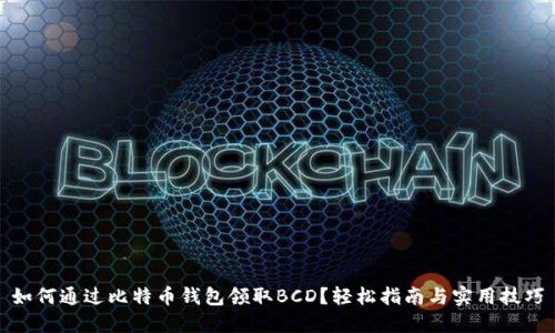 如何通过比特币钱包领取BCD？轻松指南与实用技巧