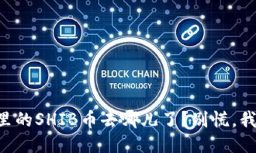 “火币钱包里的SHIB币去哪儿了？别慌，我们来揭秘！”