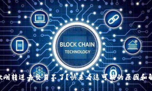 tpWallet刚转进去交易不了？快来看这可能的原因和解决方法！