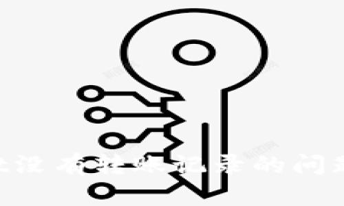 如何解决tpWallet没有转账记录的问题：详细指南与技巧