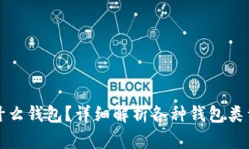 比特币放在什么钱包？详细解析各种钱包类型及选择技巧