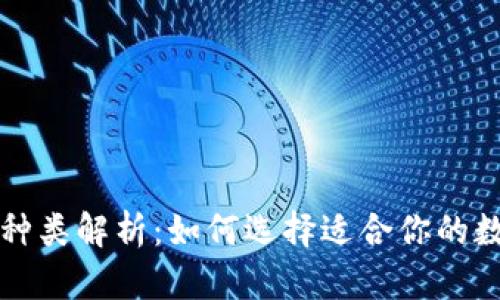 虚拟币钱包种类解析：如何选择适合你的数字货币钱包