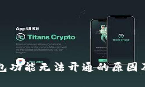 比特币钱包功能无法开通的原因及解决方案