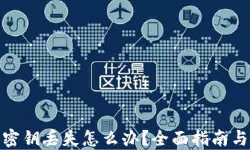 
加密钱包密钥丢失怎么办？全面指南与解决方案