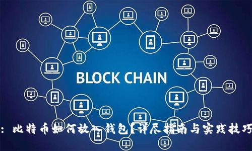 : 比特币如何放入钱包？详尽指南与实践技巧